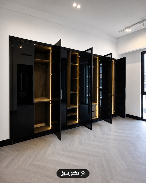 classy-closet-room1