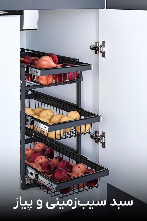 cabinet-facility10