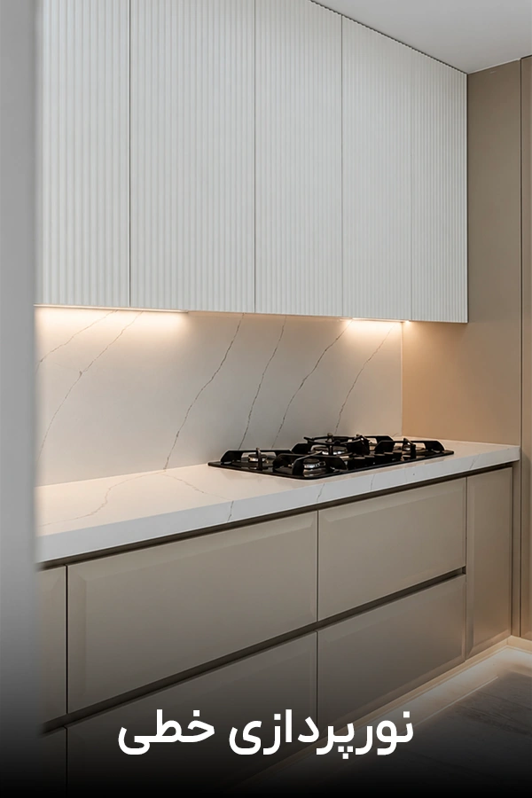 cabinet-facility8