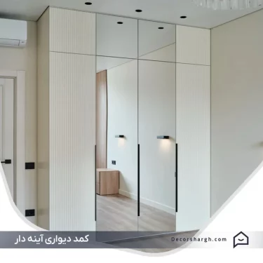 closet-with-mirror-th